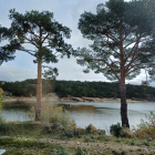 Embalse de la Cuerda del Pozo en la actualidad.