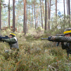 Maniobras militares en el bosque de Navaleno.