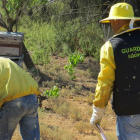 El equipo Roca de la Guardia Civil investiga los delitos que se producen en el campo.