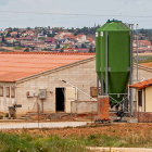 Granja de cerdos en la provincia
