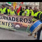 Protesta en Madrid de los agricultores y ganaderos de Soria.