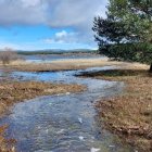 El pantano de la Cuerda del Pozo este domingo.