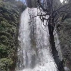 Las lluvias y nievas de las últimas horas han alimentado aún más a la cascada de La Toba en Fuentetoba. El agua cae con fuerza atronadora y deja una de las estampas más bellas del agua en Soria a sólo unos minutos de la capital.