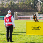 El Real Club Del Perro de Pastor Alemán celebra en Soria el campeonato de España.