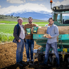 Emilio Zamora, Daniel Zamora y Francisco Pérez posan en uno de los campos donde se cultivan las patatas de Añavieja, con el Moncayo de fondo.