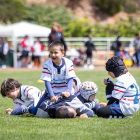 Los más pequeños aficionados al rugby han disfrutado en Soria de un torneo de canteras.