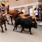 Encierro de la ACT Soriana de Encierros.