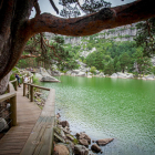 Laguna Negra teñida de verde.