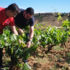 Jaime Súarez e Ismael Sanz en la explotación de Atauta.