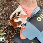 Un agente tranquiliza al perro antes de su traslado al veterinario.