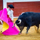 Toros en San Saturio. MARIO TEJEDOR