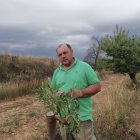 Jesus María López Cacho, gerente de Almendras del Moncayo.