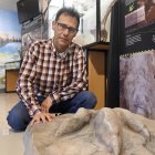 El gerente de la Fundación para el estudio de los dinosaurios de Castilla y León, Fidel Torcida, en el Museo de los Dinosaurios de Salas de los Infantes.