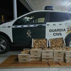 Tres denunciados en el Castro de Fuentidueña (Segovia) al portar 65 kilos de níscalos recolectados ilegalmente.