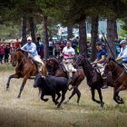 Imagen de un momento de la Saca, con un toro conducido por caballistas.