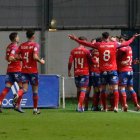Los jugadores del Numancia celebran uno de los dos goles anotados por Dani Fernández.
