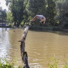 ‘Trampolín original y voltereta genial’, tomada en San Esteban de Gormaz