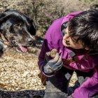 Recorremos una finca de Encitruf a la caza del diamante negro