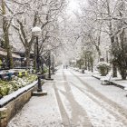 La mañana dejó alegres y hermosas estampas