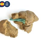 Envoltorio con cocaína dentro de una de las bellotas de hachís incautadas.