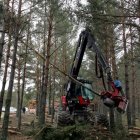 Trabajos forestales en un monte de Soria.