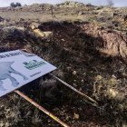 El yacimiento de Golmayo de donde proceden los restos de los dinosaurios hallados.