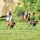 Un encierro rápido por la mañana preludia el acto central del Lavalenguas.