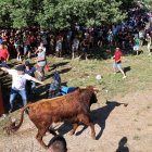 Salida de uno de los toros de los corrales en el Lavalenguas.
