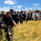 Jornada anterior en los campos de ensayo de Asaja Soria en Almazán.