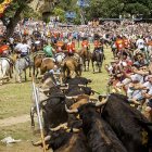 Salida de La Saca en los corrales de Cañada Honda de Valonsadero.