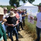 Más de 250 socios e invitados visitan la parcela de ensayos de cultivos de Copiso.