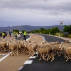 Un momento del evento 'Somos trashumantes' en una edición anterior