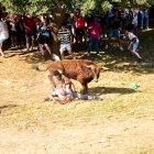 Una de las cogidas que se han producido durante el festejo de la Compra