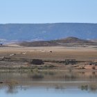 Una bandada de aves sobrevuela el embalse de Monteagudo ante el observatorio preexistente.