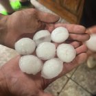 Tremendas bolas de granizo recogidas el sábado por la tarde en Muriel Viejo.