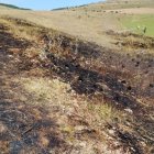 Incendio en Aylloncillo.