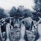 Una de las fotografías que se expondrán en Santa María de las Hoyas.