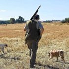 La media veda arranca el próximo viernes en la provincia de Soria.