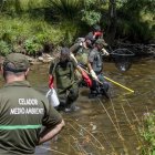 Agentes medioambientales en las tareas de rescate de peces en el río Tera.