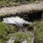 La CHD ha abierto en lo que va de año 30 expedientes sancionadores en la provincia de Soria.