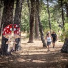 Una zona del Monte Valonsadero donde disfrutar a escasos minutos de la ciudad