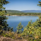 Una oportunidad para conocer el ganado de la zona