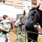 Concentración de ganado de carácter de exposición e incluso venta de animales.