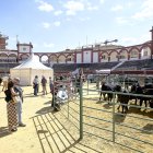 Numerosas personas pasaron este sábado por la plaza de toros de la capital.