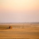 Extensión de cereal en Tierra de Campos.