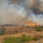 Bomberos de la BRIF de Lubia ante el incendio de Peñalba de la Sierra en la jornada de este lunes.