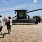 Cosechadora en un campo de Medina del Campo.