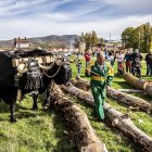 Feria ganadera de Borobia en una imagen de archivo.