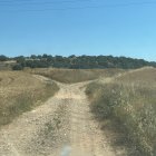 Camino rural en Ólvega.