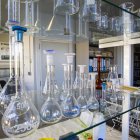 Laboratorio de una empresa en la provincia de Soria.